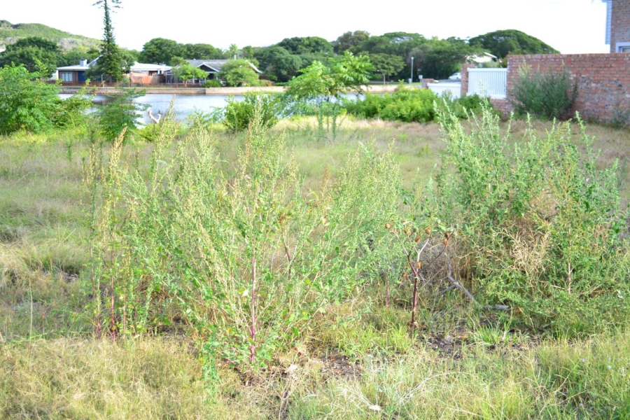 0 Bedroom Property for Sale in Island Cove Western Cape